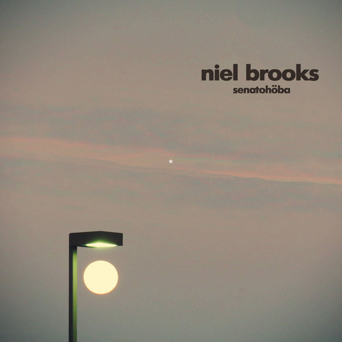 NIEL BROOKS’ new album “SENATOHOBA” is a sparkling homemade stunner, a multilayered mix of vocal and instrumental tracks. It’s our fave local release of 2021 and you need to hear it.
